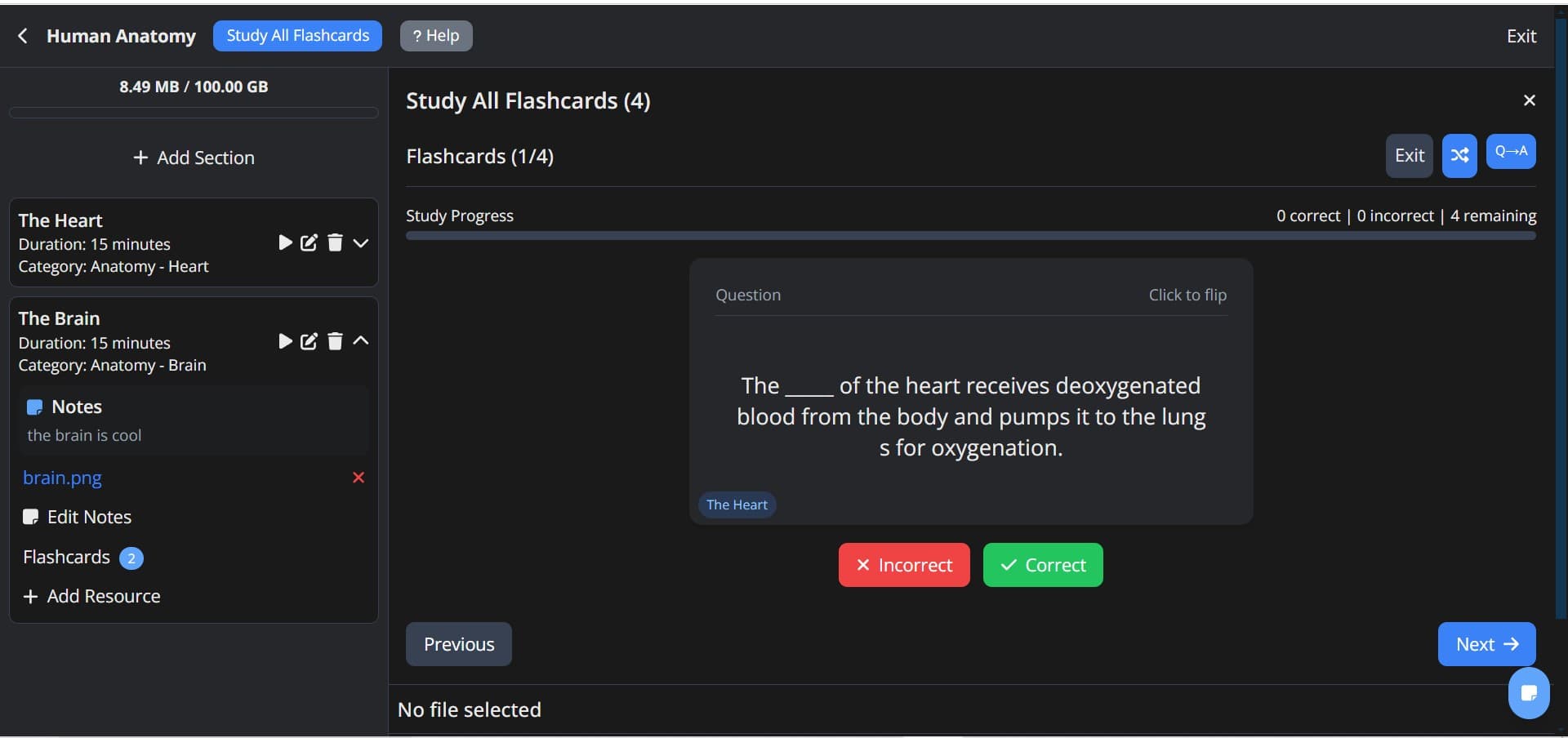 Routine River Flashcards Interface