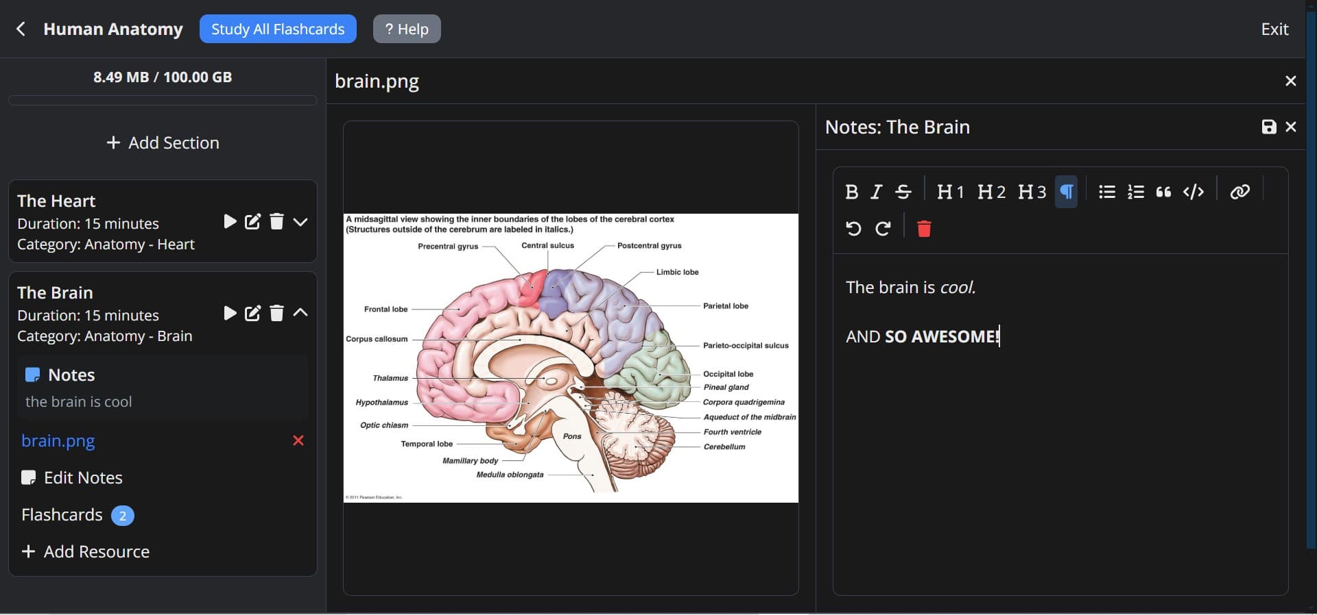 Routine River Notes Interface